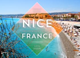 Nice France EMRS 2019